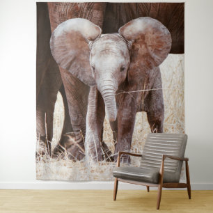 Tenture Baby Elephant mignon Eléphant africain avec maman
