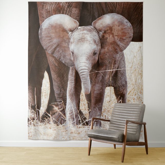 Tenture Baby Elephant mignon Eléphant africain avec maman (En situation)