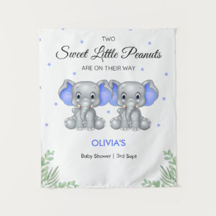Tenture Baby shower Elephant Blue Twin Boys