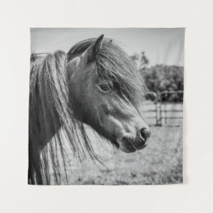 TENTURE BEAU CHEVAL