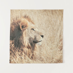 TENTURE BEAU LION
