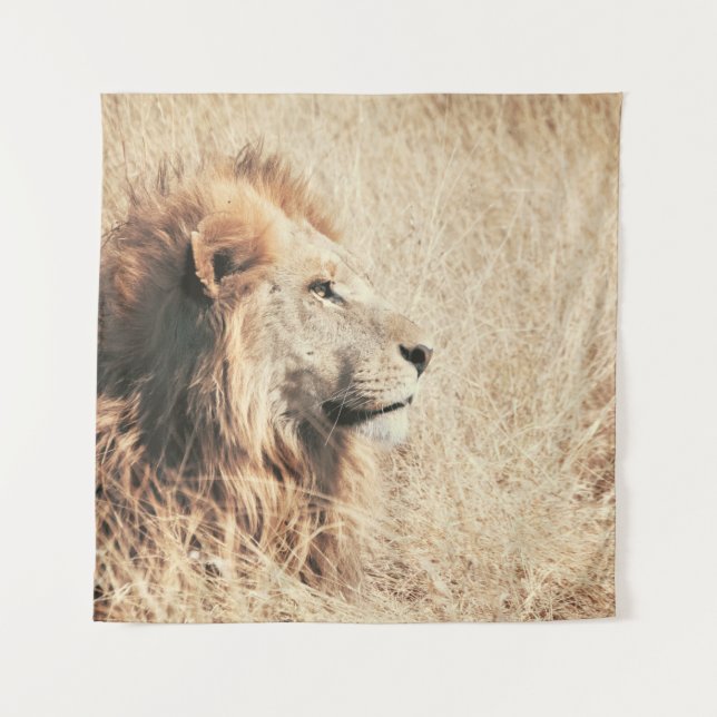 TENTURE BEAU LION (Devant)