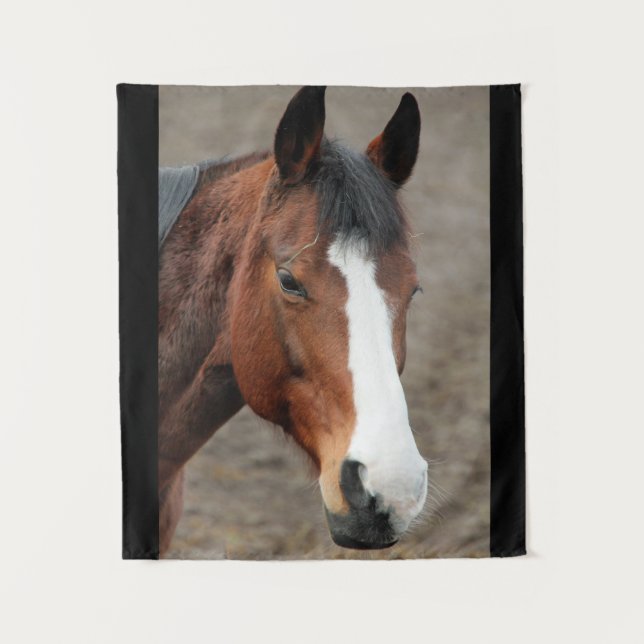 Tenture Beau visage de cheval (Devant)