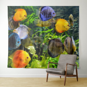 TENTURE BEAUX POISSONS PHOTO-BACKDROP