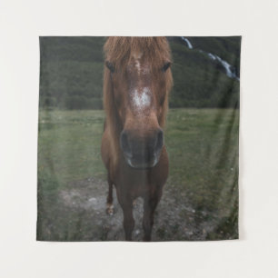 TENTURE BONJOUR JE SUIS UN CHEVAL