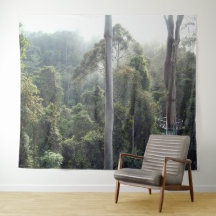 Borneo Ranforest Jungle Canopy Paysage Contexte