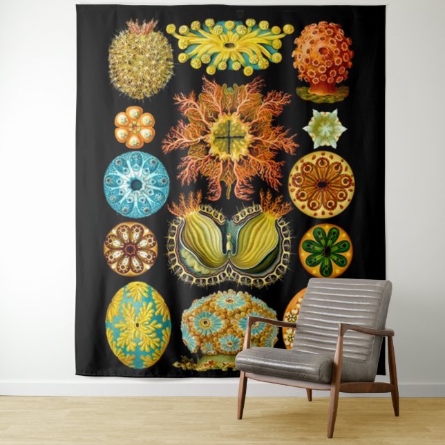 Tenture carte des créatures marines (En situation)