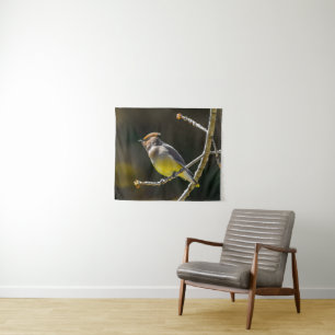 Tenture Cèdre cire Songbird Photo originale Oiseau sauvage