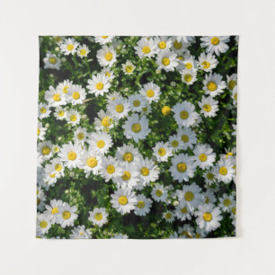 Tenture Champ de marguerite du printemps : Arrière - plan