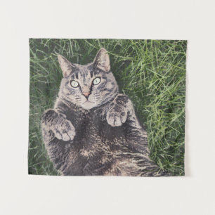 Tenture chat gris allongé dans l'herbe
