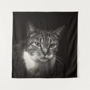 TENTURE CHAT TABLEAU D'ARGENT