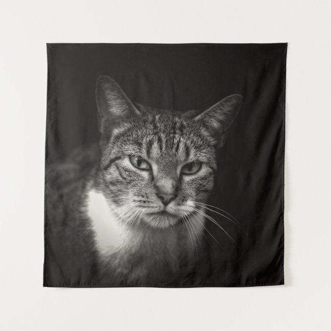 TENTURE CHAT TABLEAU D'ARGENT (Devant)