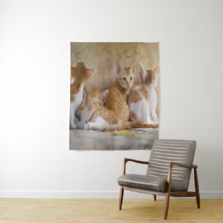 Tenture Chaton tigré orange et blanc/Ajoutez la photo de v