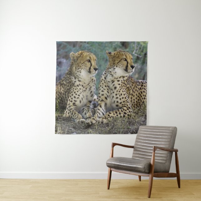 Tenture Cheetah (En situation)