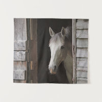 Cheval gris-jument
