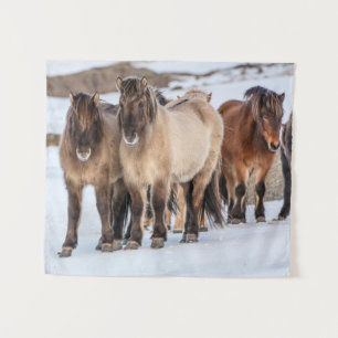 Tenture Chevaux islandais en hiver près de Hofn, Islande