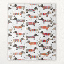 Chien de saucisse Dachshund