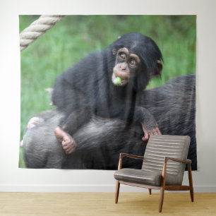 Tenture Chimpanzé 032
