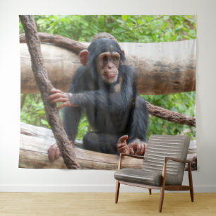 Tenture Chimpanzée 001