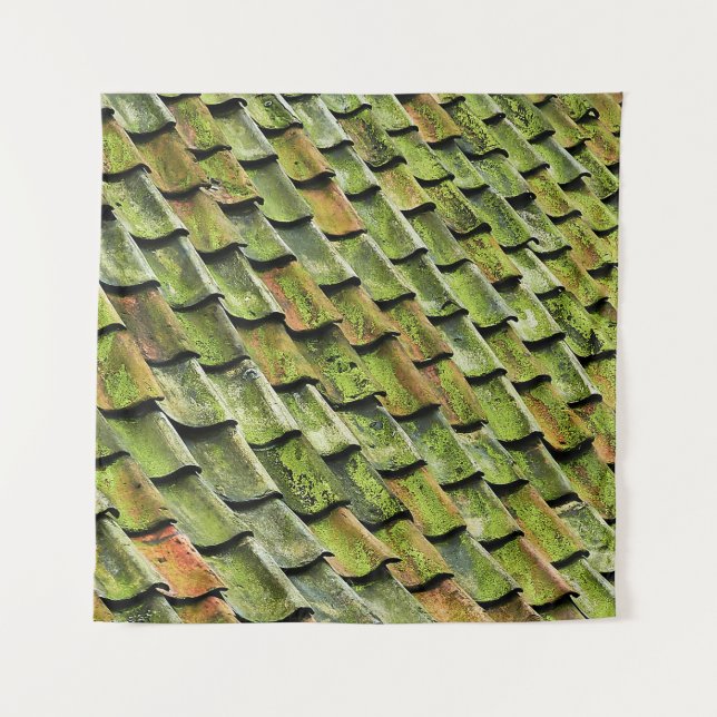 Tenture Close-up photo of green shingle roof (Devant)