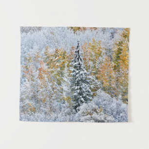 Tenture Couleurs automnales des Aspens et du col Keebler