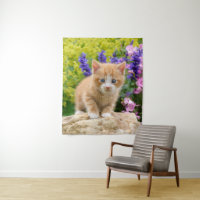 Cute Ginger Chat Kitten dans un jardin fleuri Phot