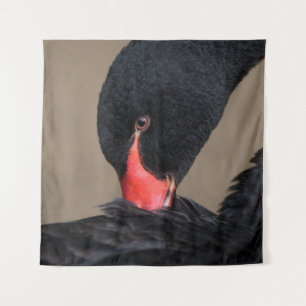 Tenture Cygne noir