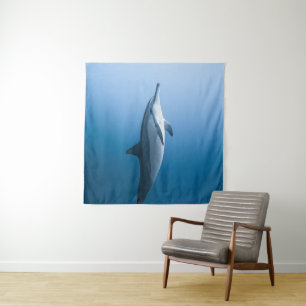 Tenture Dauphin de mer mignonne