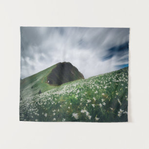 Tenture Des milliers de narcisses sur Golica, Slovénie