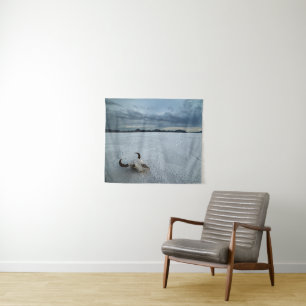 Tenture Deserts   Bonneville Salt Flats Utah