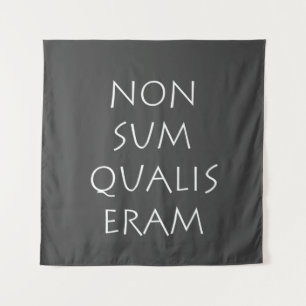 Tenture Écran qualis non sum