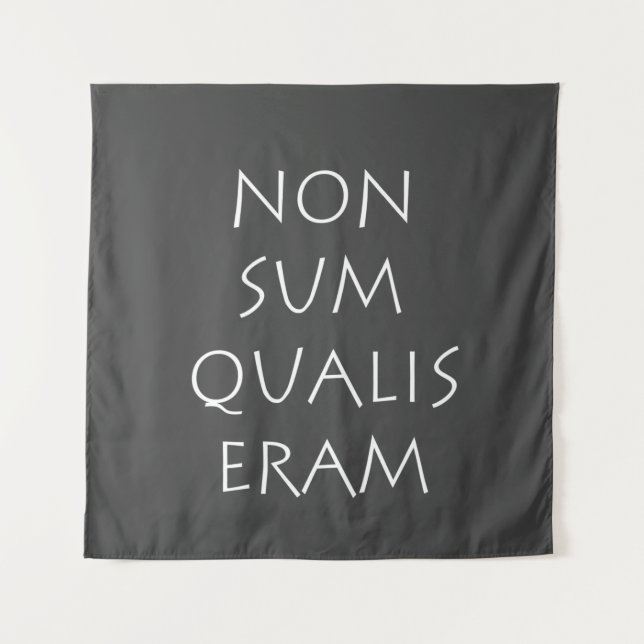 Tenture Écran qualis non sum (Devant)