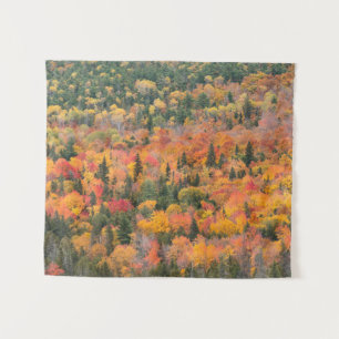Tenture Feuillage d'automne   Péninsule de Keweenaw, Michi