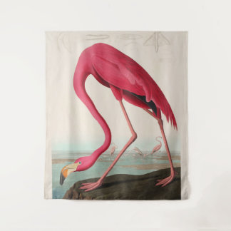Tenture Flamant rose Audubon Rose Américain, Plaque CCXXXI