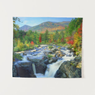 Tenture Flume Falls   Monts Adirondack