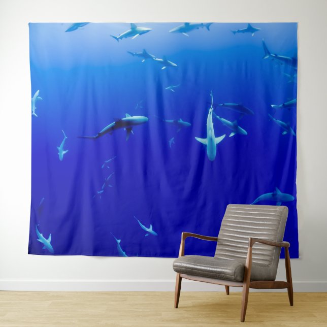 TENTURE FOND POUR PHOTO D'ÉCOLE DE REQUINS (En situation (horizontale))