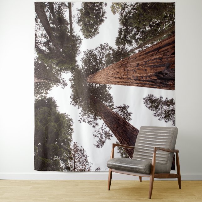 Tenture forêt, arbre (En situation)