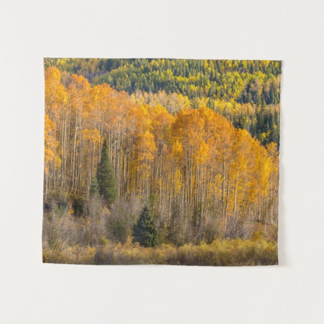 Tenture Forêt nationale de Gunnison (Devant (Horizontal))