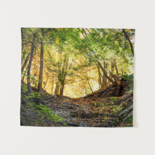 Tenture Forêts Sunset Woods Arbres Nature Petite Tapisseri