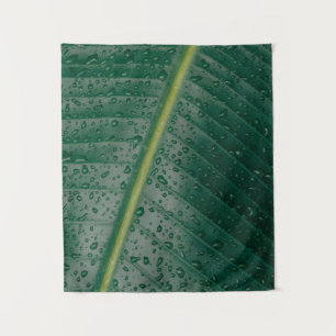 Tenture gouttelettes d'eau sur feuille de bananier