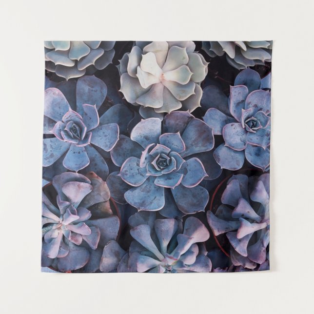 Tenture Gray succulents (Devant)
