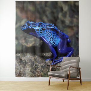 Tenture Grenouille à tarte à poison bleu, grenouille bleue