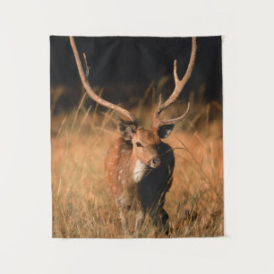 Tenture Habitat naturel de l'hôpital   Parc national de Ba