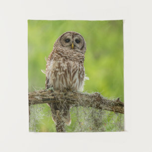 Tenture Hibou rayé sur branche d'arbre