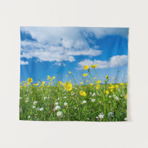 Tenture île de South Uist   Écosse