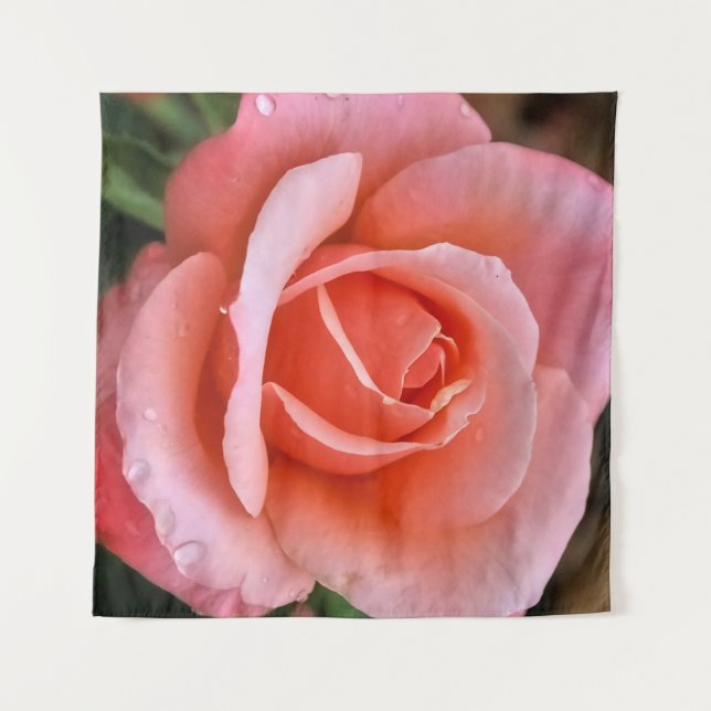 Tenture Impression d'art botanique de rose romantique (Devant (Horizontal))