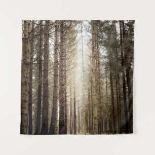 TENTURE INTO THE FOREST
