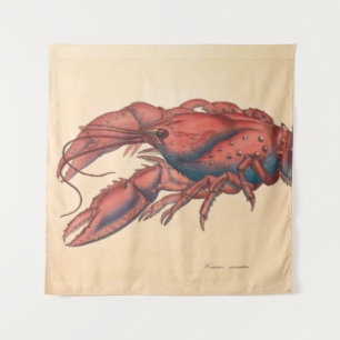 Tenture James Sowerby Homard dentelé