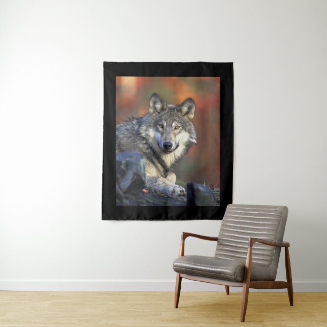 Tenture La sagesse du loup (En situation)