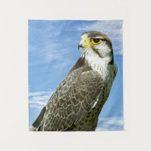 Tenture Lanner Falcon perché